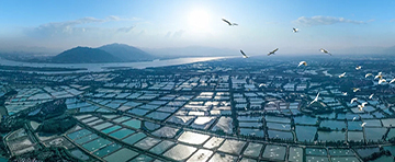 水產(chǎn)養(yǎng)殖專(zhuān)用活性炭